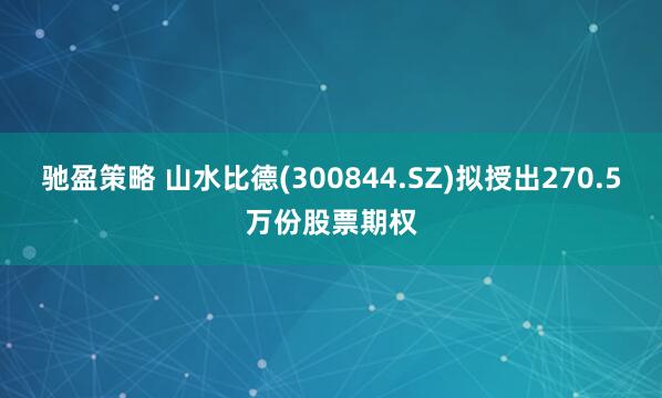 馳盈策略 山水比德(300844.SZ)擬授出270.5萬份股票期權