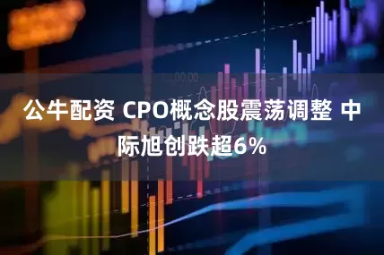 公牛配資 CPO概念股震蕩調(diào)整 中際旭創(chuàng)跌超6%